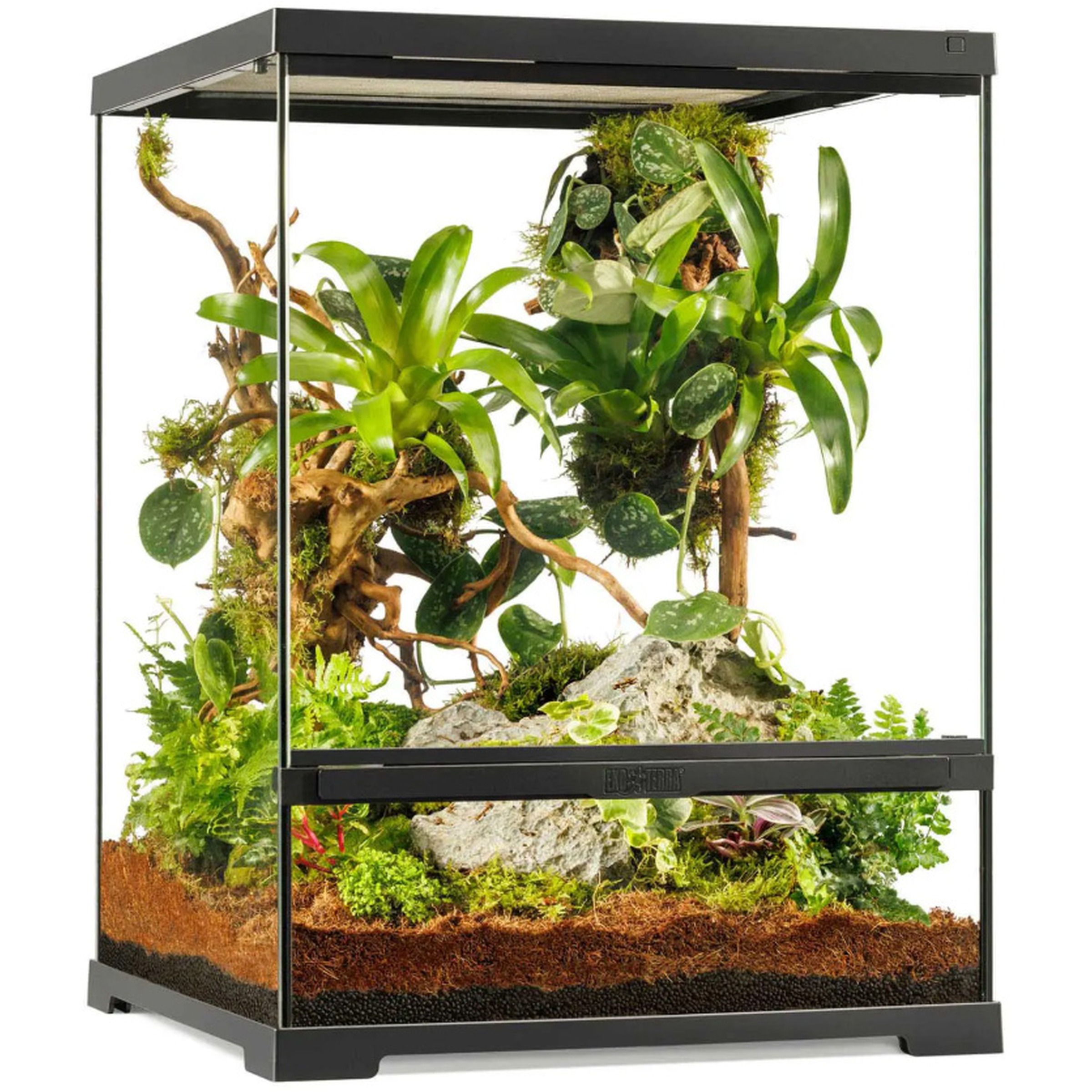 Exo Terra Pro Terrarium Small Tall 18x18x24 For Reptiles | LLLReptile