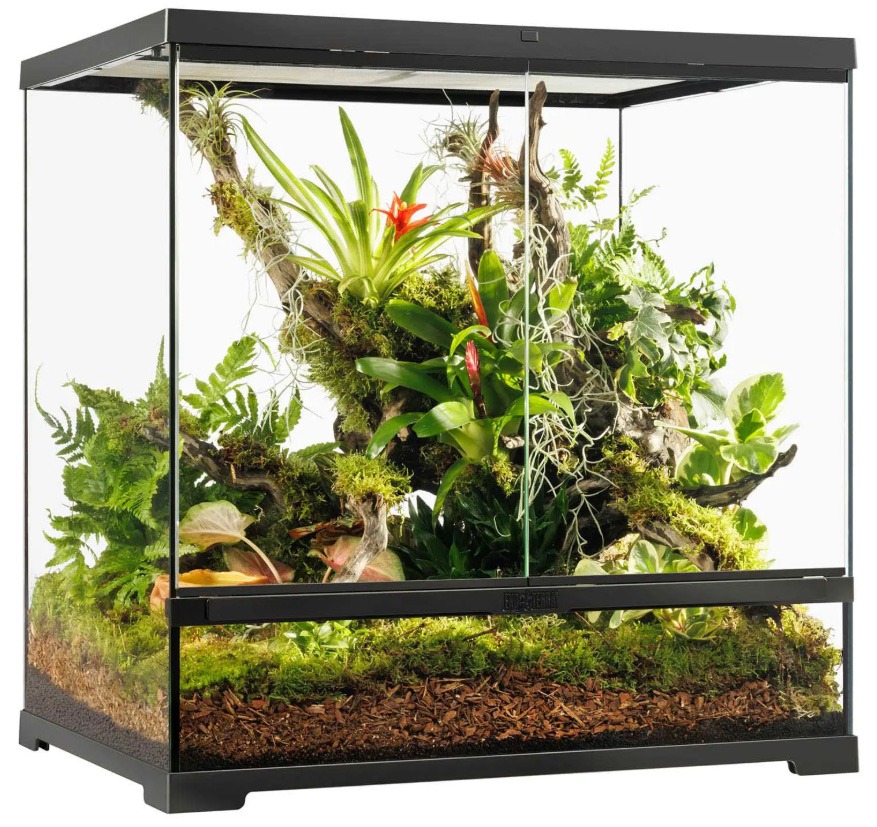 Exo Terra Pro Terrarium Medium Tall 24x18x24 For Reptiles | LLLReptile