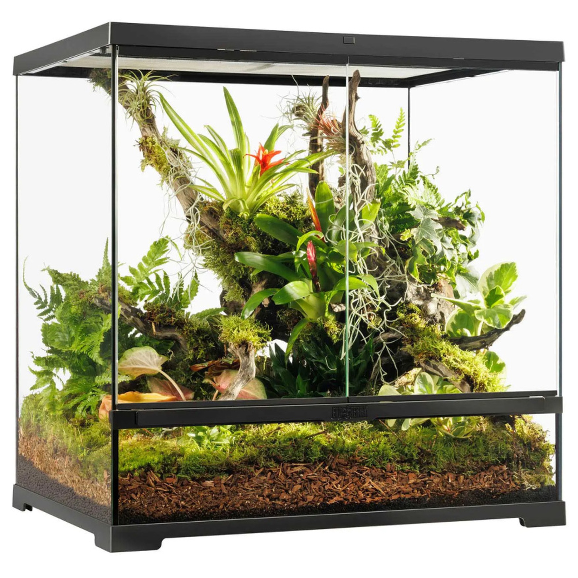 Exo Terra Pro Terrarium Medium Tall 24x18x24 For Reptiles | LLLReptile
